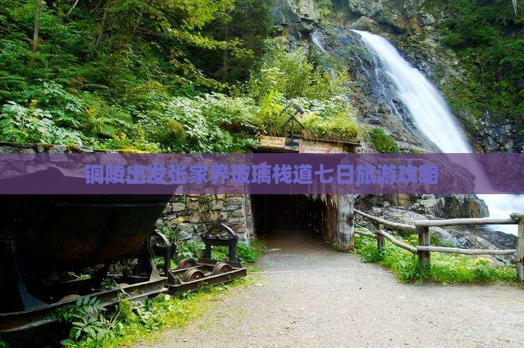 铜陵去张家界玻璃栈道七日游