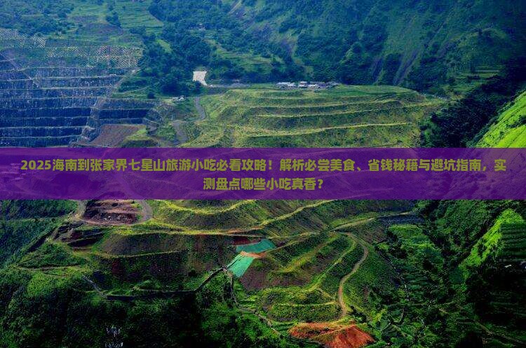 海南到张家界七星山旅游小吃