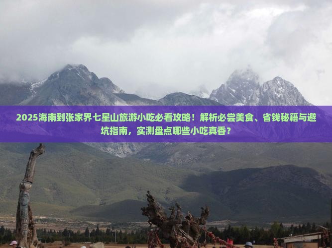 海南到张家界七星山旅游小吃