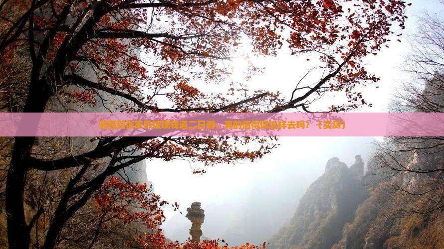 湘西到张家界玻璃栈道二日游