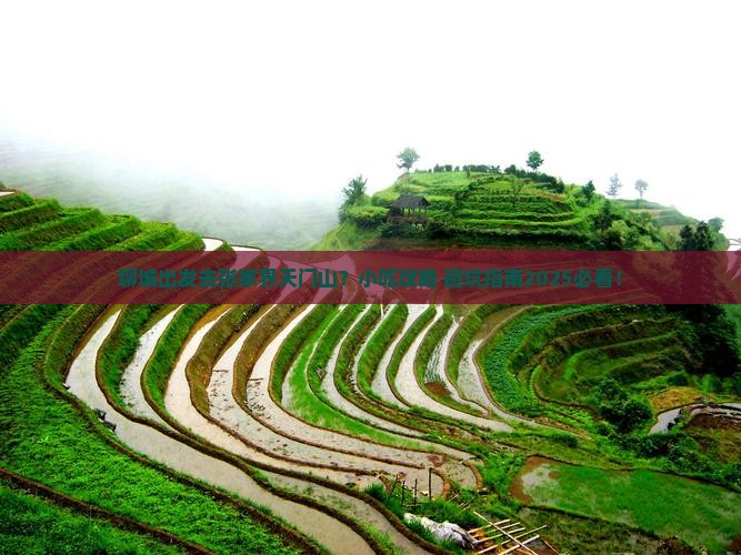 聊城去张家界天门山旅游小吃
