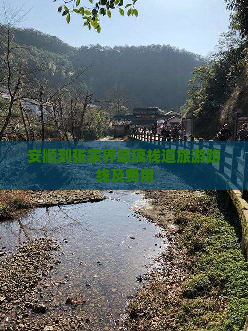 安顺到张家界玻璃栈道旅游