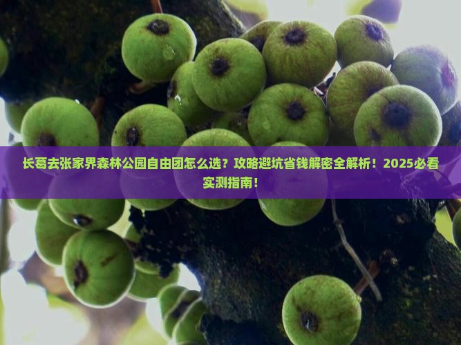 长葛去张家界森林公园自由团