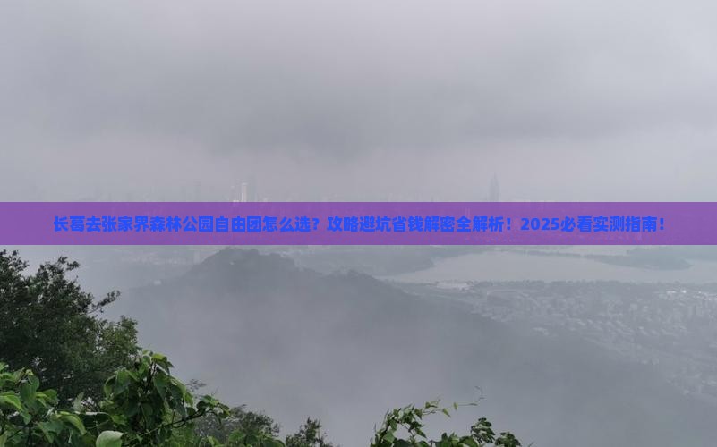 长葛去张家界森林公园自由团