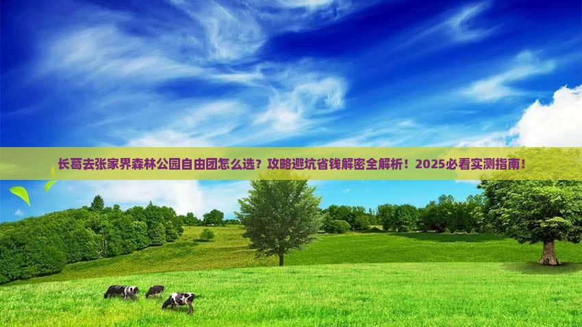 长葛去张家界森林公园自由团