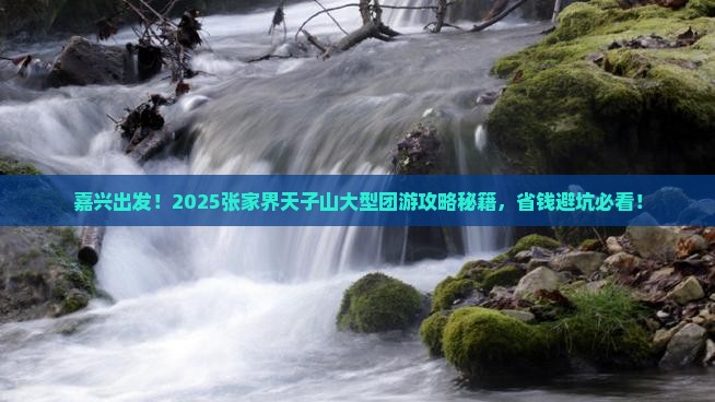 嘉兴去张家界天子山大型旅游团
