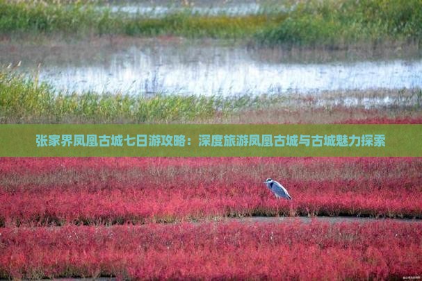黔南去张家界凤凰古城七日游
