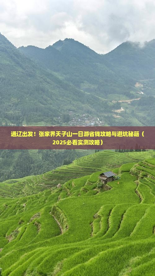 通辽市去张家界天子山一日