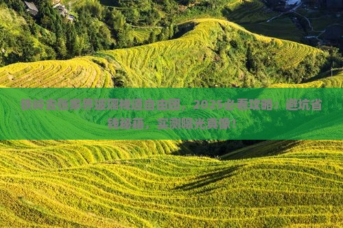铁岭去张家界玻璃栈道自由团