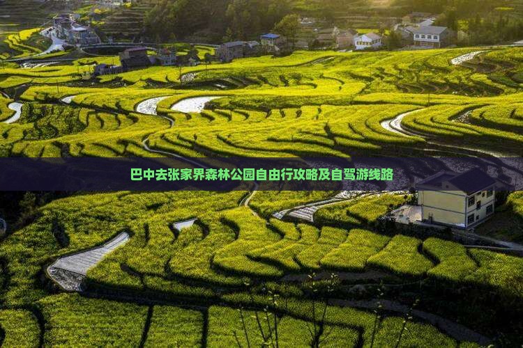 巴中去张家界森林公园自由行