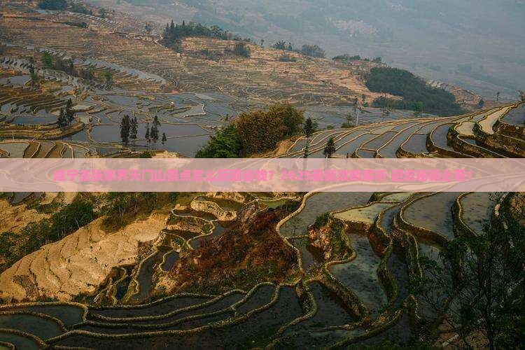 咸宁去张家界天门山景点