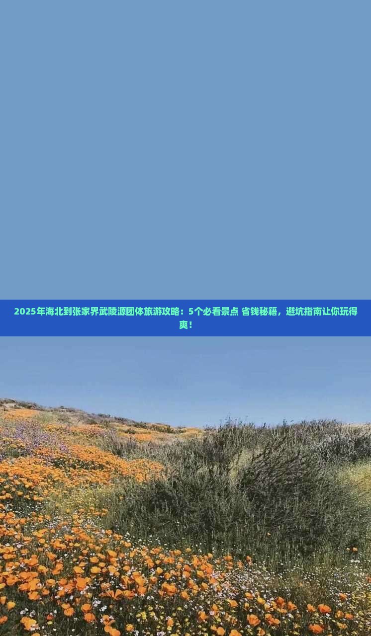 海北到张家界武陵源团体旅游