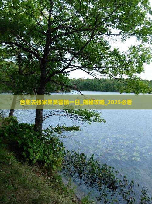 合肥去张家界芙蓉镇一日