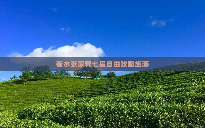 衡水去张家界七星山自由团