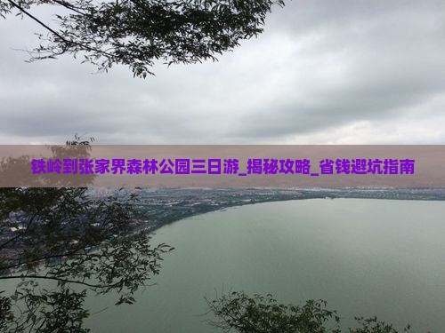 铁岭到张家界森林公园三日游