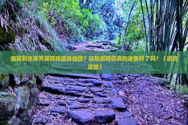 临夏到张家界玻璃栈道自由团