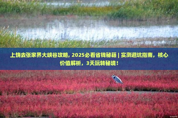 上饶去张家界大峡谷攻略