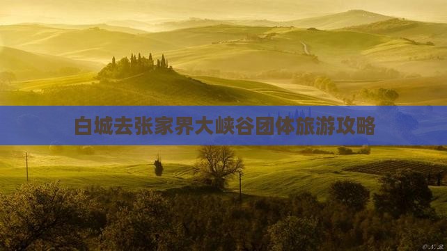 白城去张家界大峡谷团体旅游