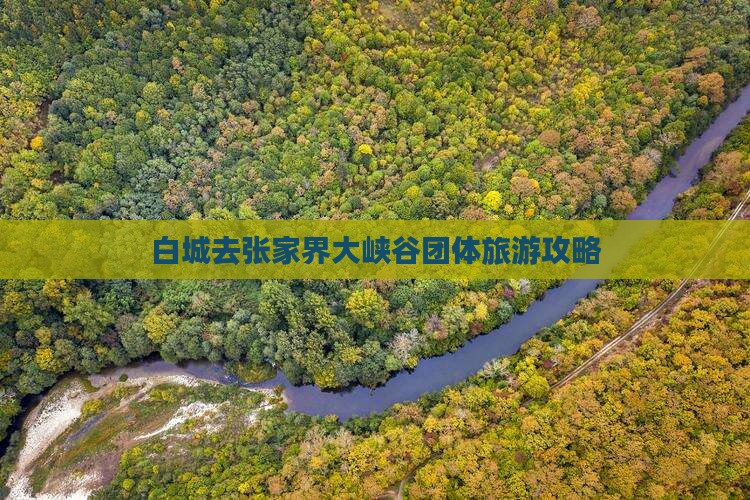 白城去张家界大峡谷团体旅游