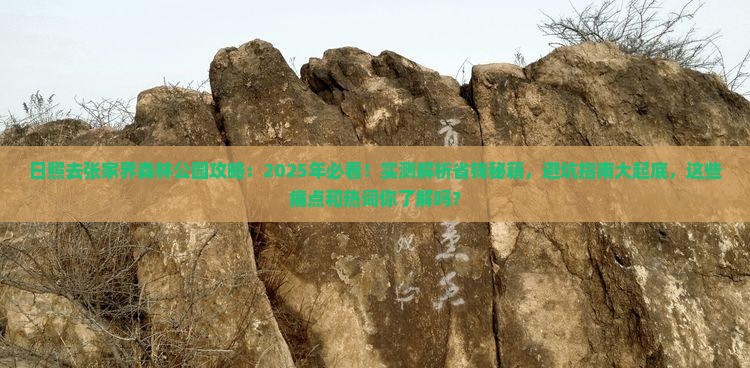 日照去张家界森林公园攻略
