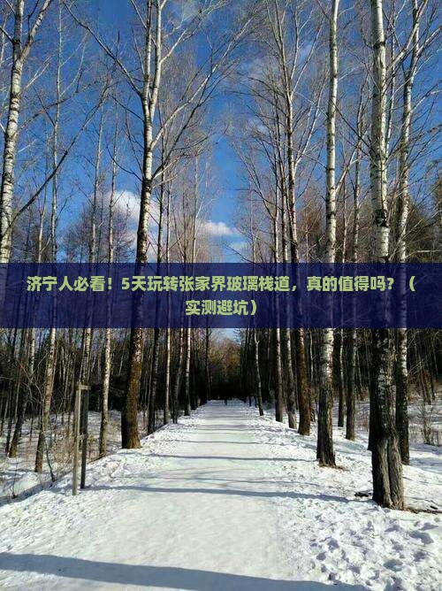 济宁去张家界玻璃栈道五日游
