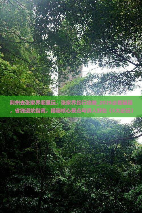 荆州去张家界哪里玩