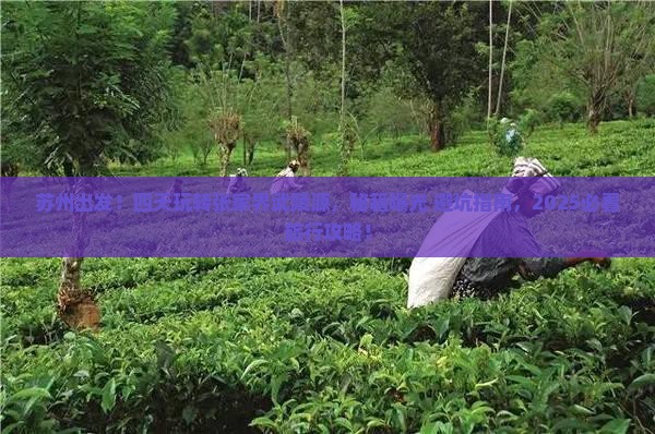 苏州到张家界武陵源四日游