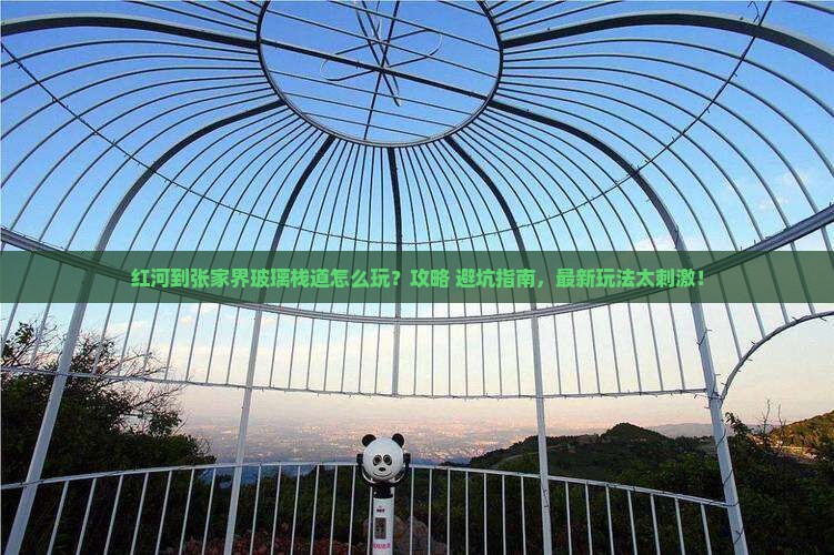 红河到张家界玻璃栈道旅游