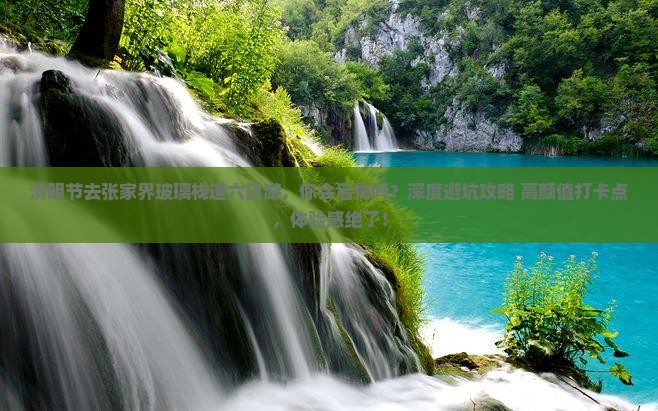 清明节到张家界玻璃栈道六日游