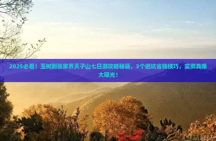 玉树到张家界天子山七日游