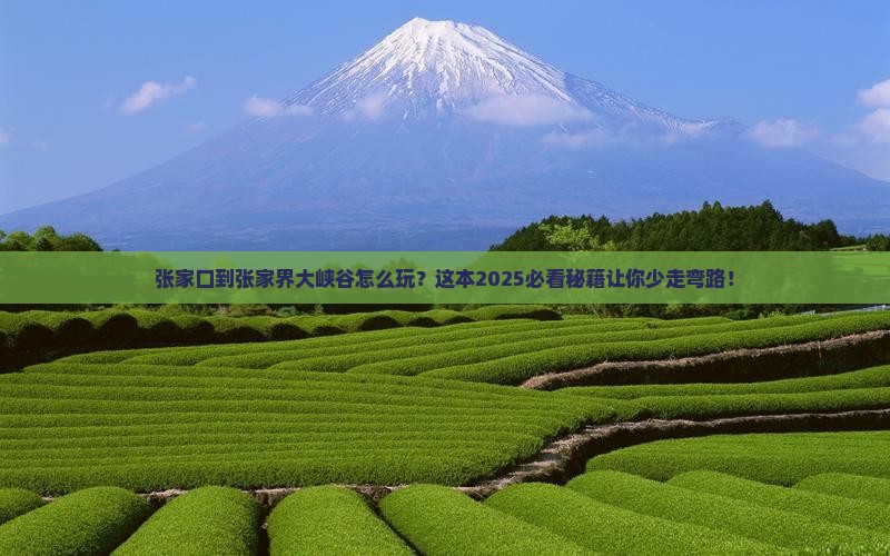 张家口到张家界大峡谷攻略
