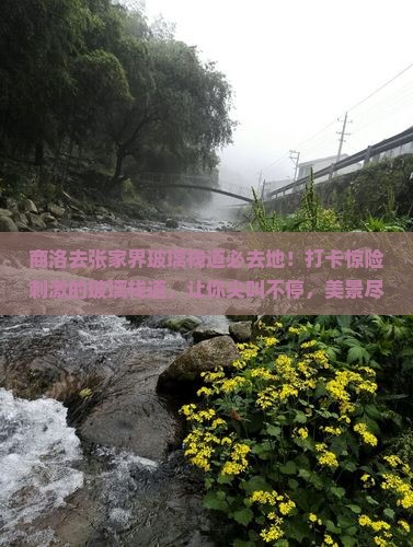 商洛去张家界玻璃栈道必去地