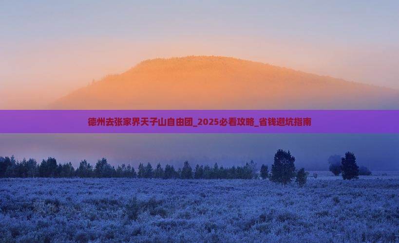 德州去张家界天子山自由团