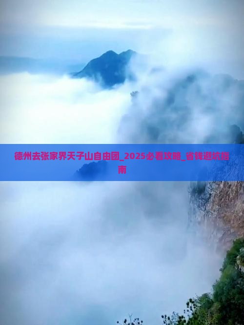 德州去张家界天子山自由团