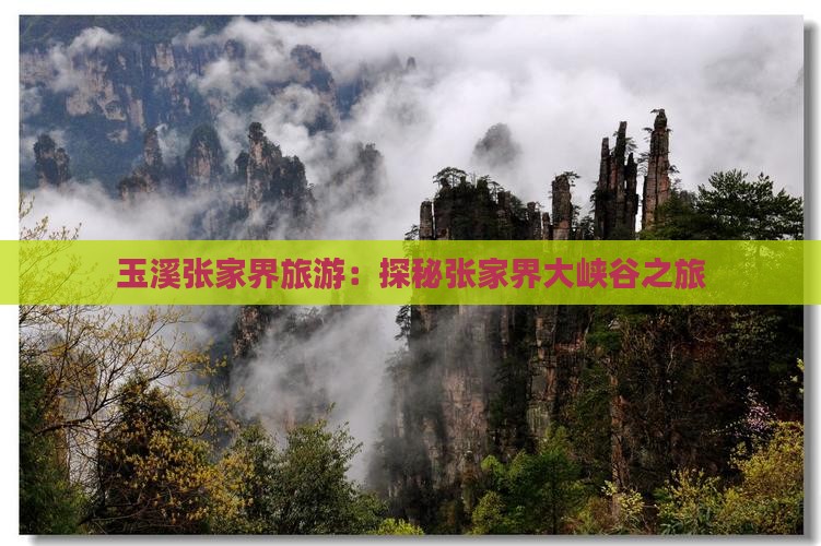 玉溪去张家界大峡谷团体旅游 玉溪去张家界大峡谷团体旅游