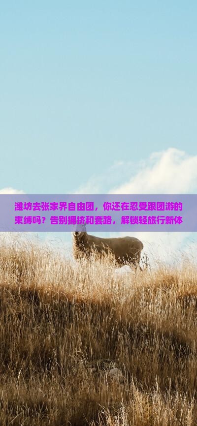 潍坊去张家界自由团