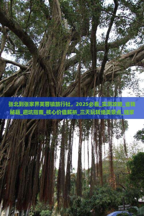 张北到张家界芙蓉镇旅行社