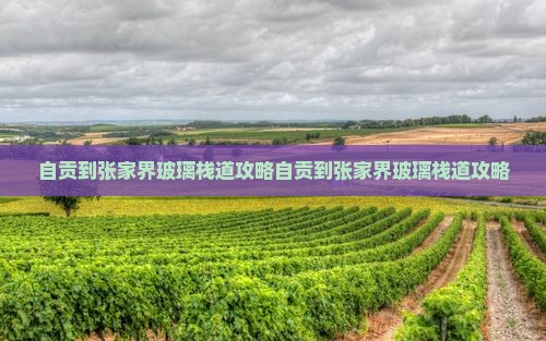 自贡到张家界玻璃栈道攻略