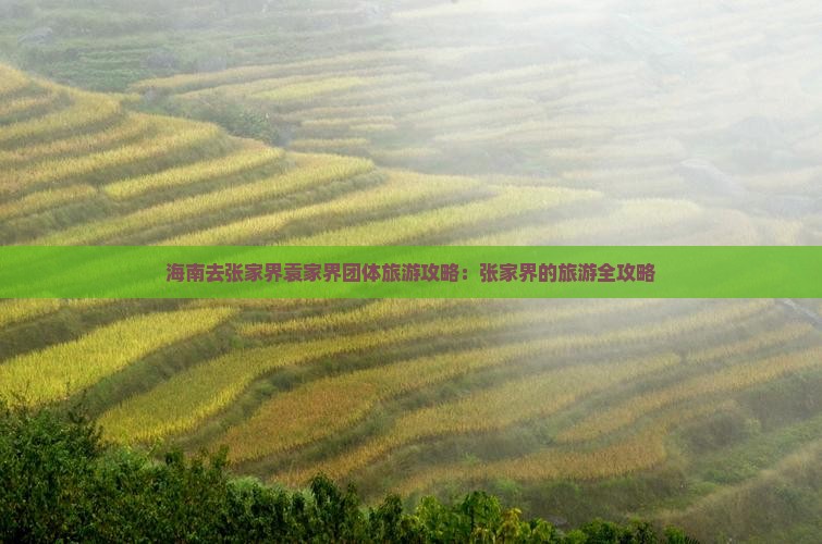海南去张家界袁家界团体旅游