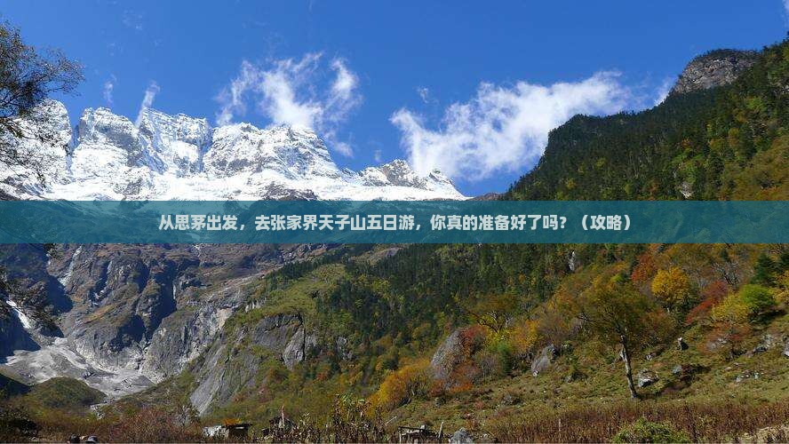 思茅去张家界天子山五日游