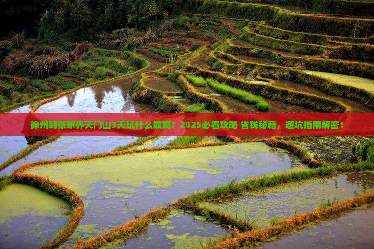 徐州到张家界天门山哪里玩