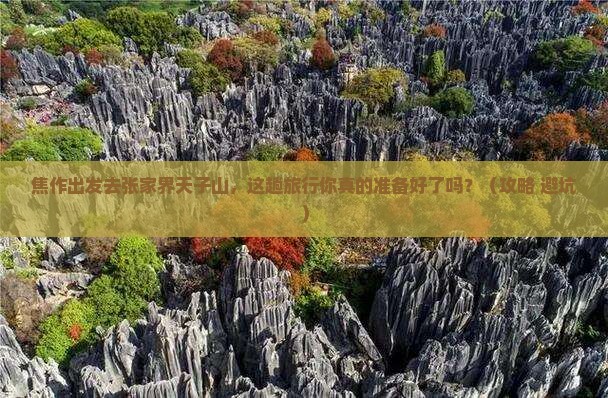 焦作去张家界天子山旅行社