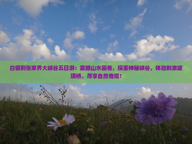白银到张家界大峡谷五日游