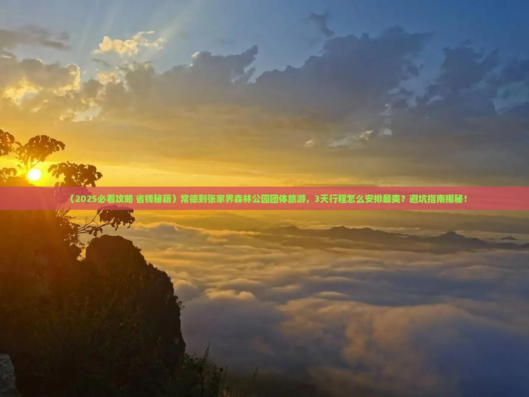 常德到张家界森林公园团体旅游