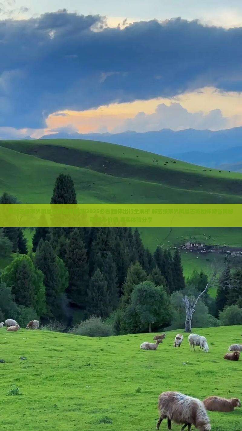 黑河去张家界凤凰古城团体旅游