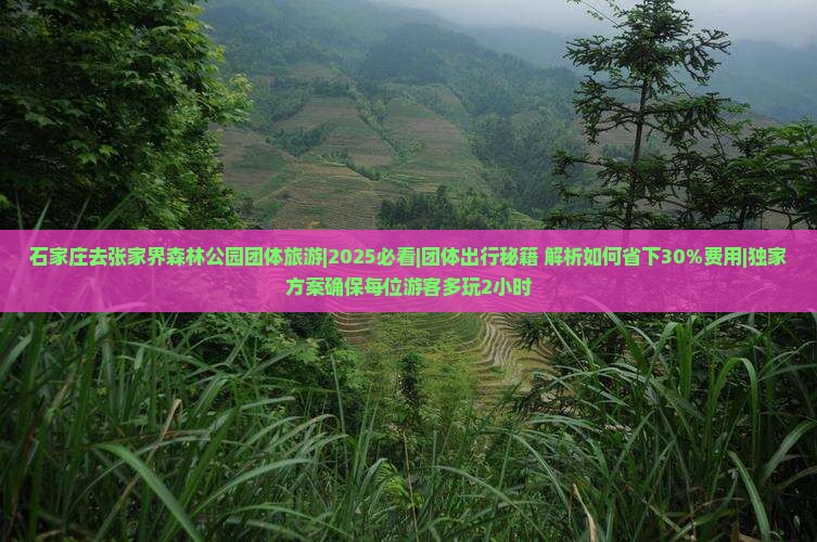 石家庄去张家界森林公园团体旅游