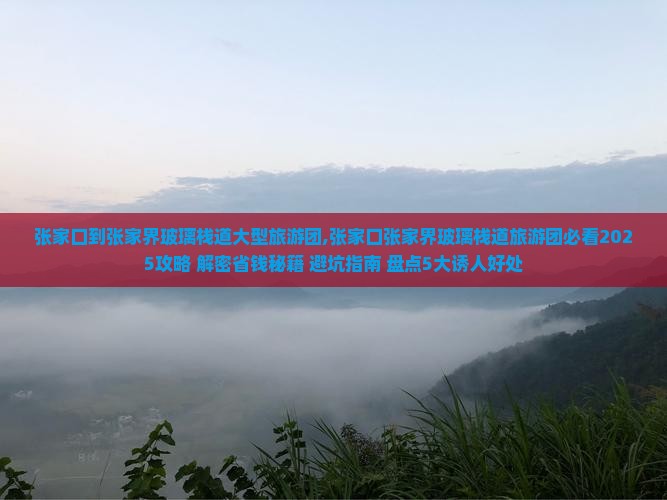 张家口到张家界玻璃栈道大型旅游团
