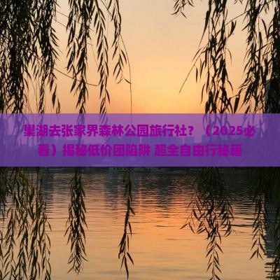 巢湖去张家界森林公园旅行社