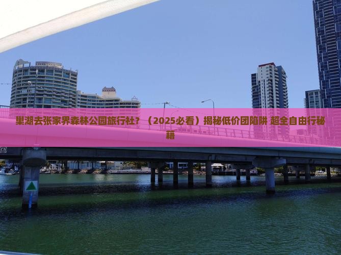巢湖去张家界森林公园旅行社