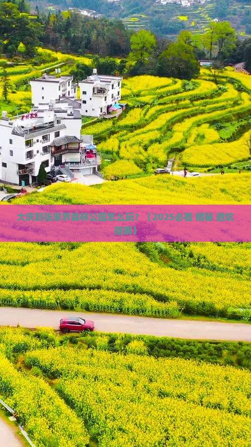 大庆到张家界森林公园攻略